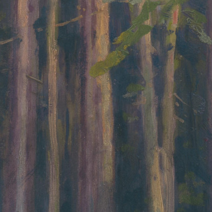 Foresta Di Abeti Ľudovít Čordák lco16 quadro stampato su tela
