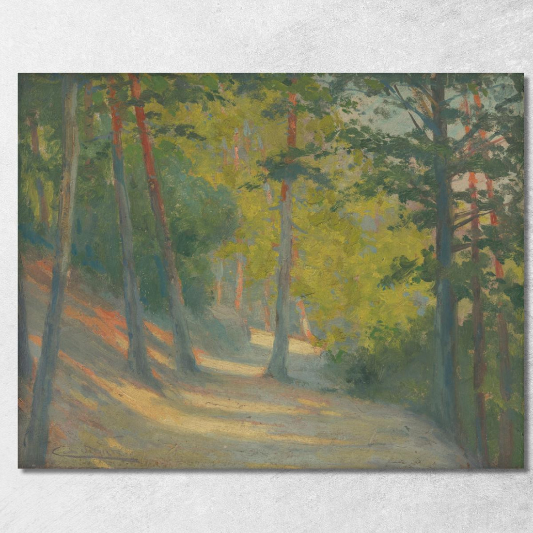 Strada Per Bankov Ľudovít Čordák lco63 quadro stampato su tela Strada Per Bankov Ľudovít Čordák lco63 quadro stampato su tela