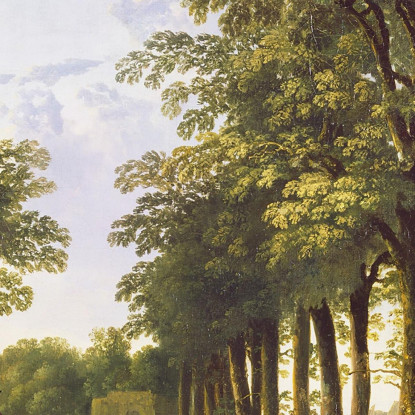 Il Viale A Meerdervoort Aelbert Cuyp acu45 quadro stampato su tela