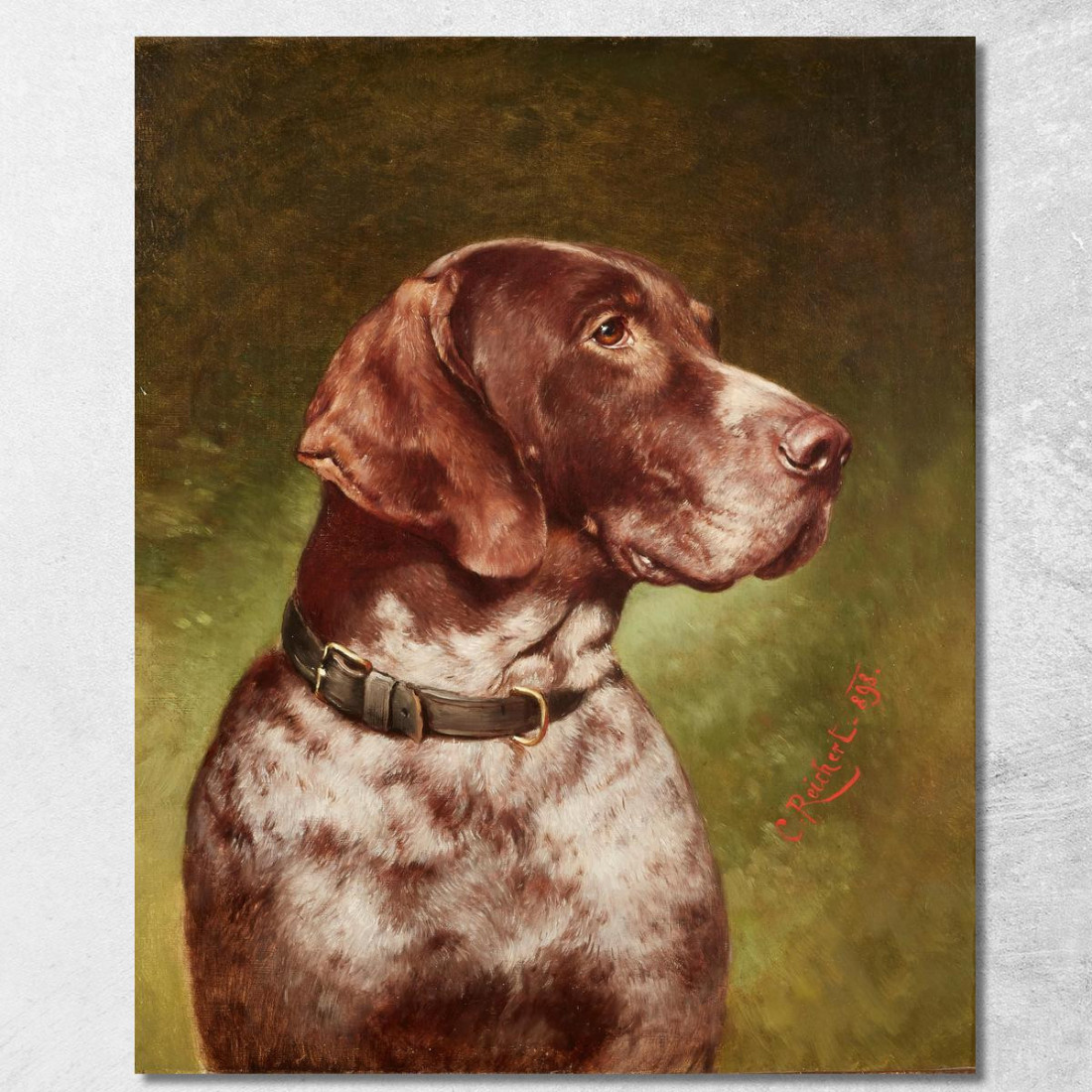 Testa Di Un Bracco Tedesco Carl Reichert crc30 quadro stampato su tela Testa Di Un Bracco Tedesco Carl Reichert crc30 quadro stampato su tela