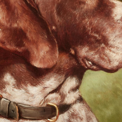 Testa Di Un Bracco Tedesco Carl Reichert crc30 quadro stampato su tela