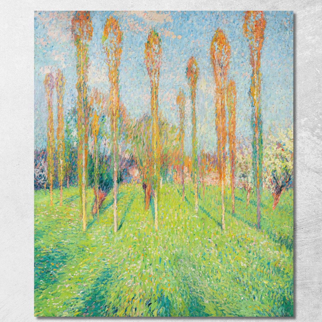 Prato Soleggiato Con Pioppi Henri Martin hmt71 quadro stampato su tela Prato Soleggiato Con Pioppi Henri Martin hmt71 quadro stampato su tela