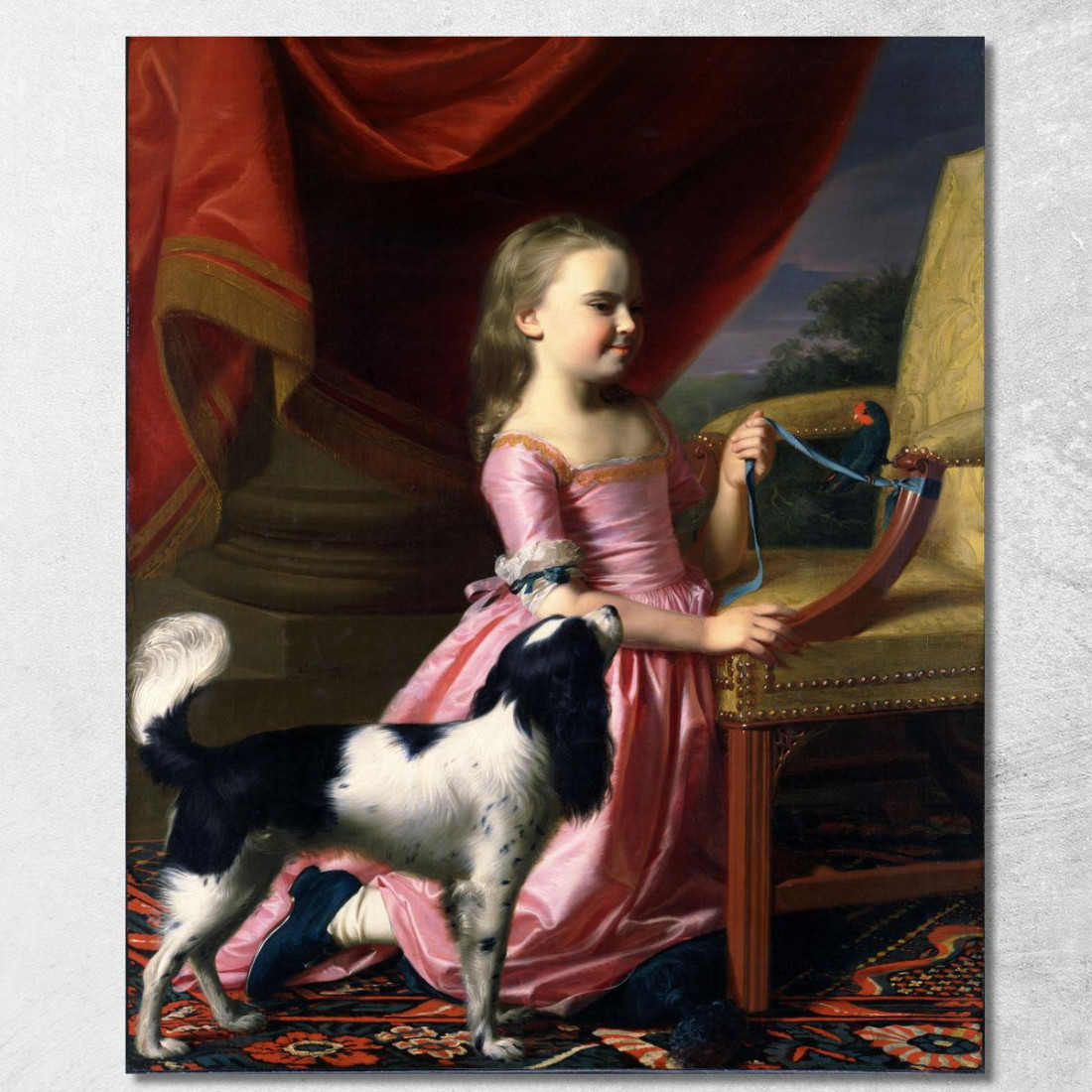 Giovane Donna Con Un Uccello E Un Cane John Singleton Copley jsg68 quadro stampato su tela Giovane Donna Con Un Uccello E Un Cane John Singleton Copley jsg68 quadro stampato su tela