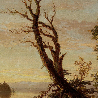 Scena Di Un Lago Americano Thomas Cole tcl5 quadro stampato su tela