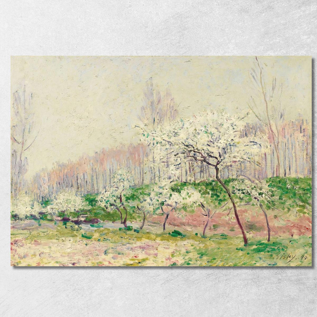 I Meli In Fiore Alfred Sisley asi50 quadro stampato su tela