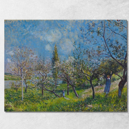 Frutteto In Primavera Alfred Sisley asi63 quadro stampato su tela