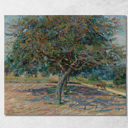 Alberi Nell'Île-De-France Armand Guillaumin agl1 quadro stampato su tela