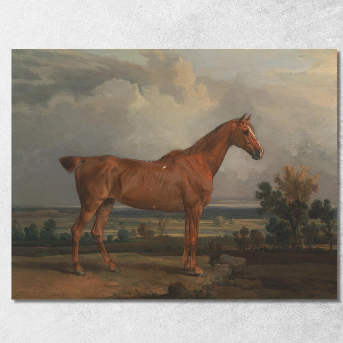 Cacciatore In Un Paesaggio James Ward jwr20 quadro stampato su tela Cacciatore In Un Paesaggio James Ward jwr20 quadro stampato su tela