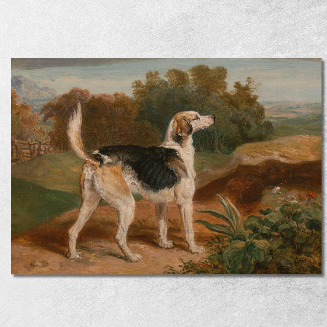 Ravager Uno Dei Segugi Di Lambton James Ward jwr30 quadro stampato su tela Ravager Uno Dei Segugi Di Lambton James Ward jwr30 quadro stampato su tela