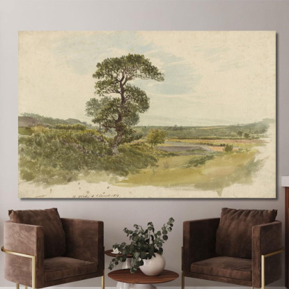 Paesaggio Nello Snowdonia Con Un Albero In Primo Piano John Linnell jln3 quadro stampato su tela