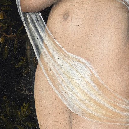 Venere Con Cupido Che Ruba Il Miele Lucas Cranach the Elder lce91 quadro stampato su tela