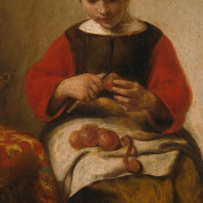Giovane Donna Che Sbuccia Mele Nicolaes Maes nma44 quadro stampato su tela