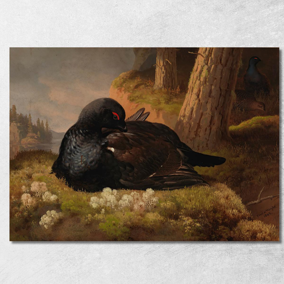 Fagiano Di Monte Ferdinand von Wright fvw5 quadro stampato su tela