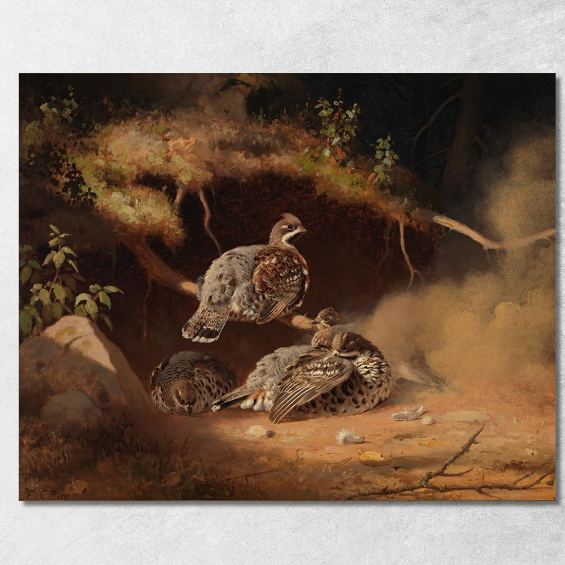 Francolino Di Monte Che Si Rotola Nella Sabbia Ferdinand von Wright fvw11 quadro stampato su tela Francolino Di Monte Che Si Rotola Nella Sabbia Ferdinand von Wright fvw11 quadro stampato su tela