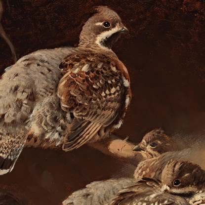 Francolino Di Monte Che Si Rotola Nella Sabbia Ferdinand von Wright fvw11 quadro stampato su tela