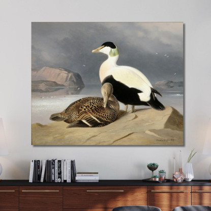 Kaksi Haahkaa Ferdinand von Wright fvw16 quadro stampato su tela