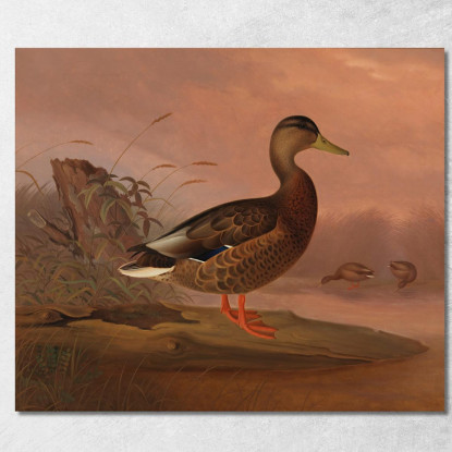 Germano Reale Ferdinand von Wright fvw18 quadro stampato su tela