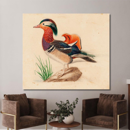 Anatra Mandarina Ferdinand von Wright fvw19 quadro stampato su tela