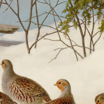 Pernici Nella Neve Ferdinand von Wright fvw21 quadro stampato su tela