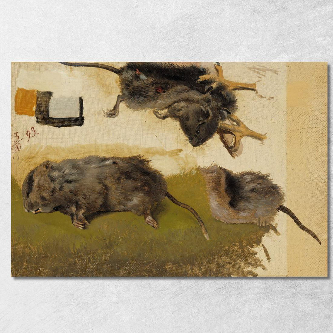 Roditori Ferdinand von Wright fvw23 quadro stampato su tela