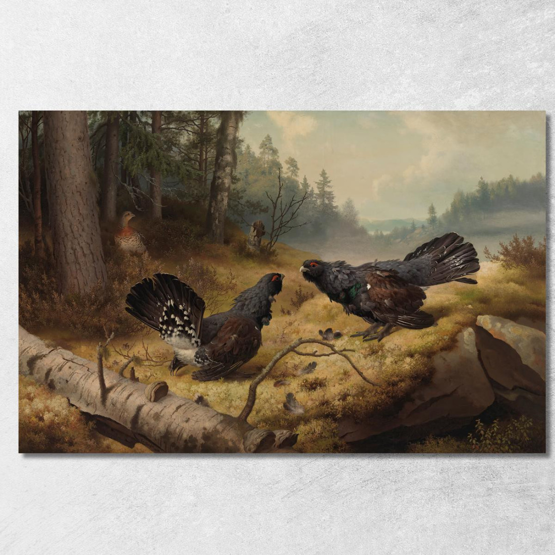 I Galli Cedroni Combattenti Ferdinand von Wright fvw29 quadro stampato su tela I Galli Cedroni Combattenti Ferdinand von Wright fvw29 quadro stampato su tela