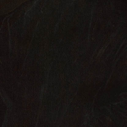 Ritratto Di Un Uomo Jacopo Tintoretto jtn23 quadro stampato su tela