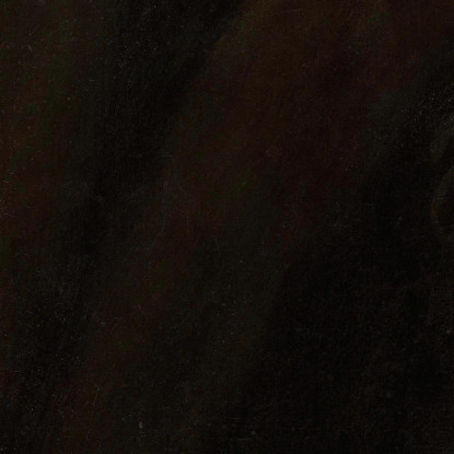 Ritratto Dell'Umanista Giovanni Paolo Cornaro Jacopo Tintoretto jtn32 quadro stampato su tela