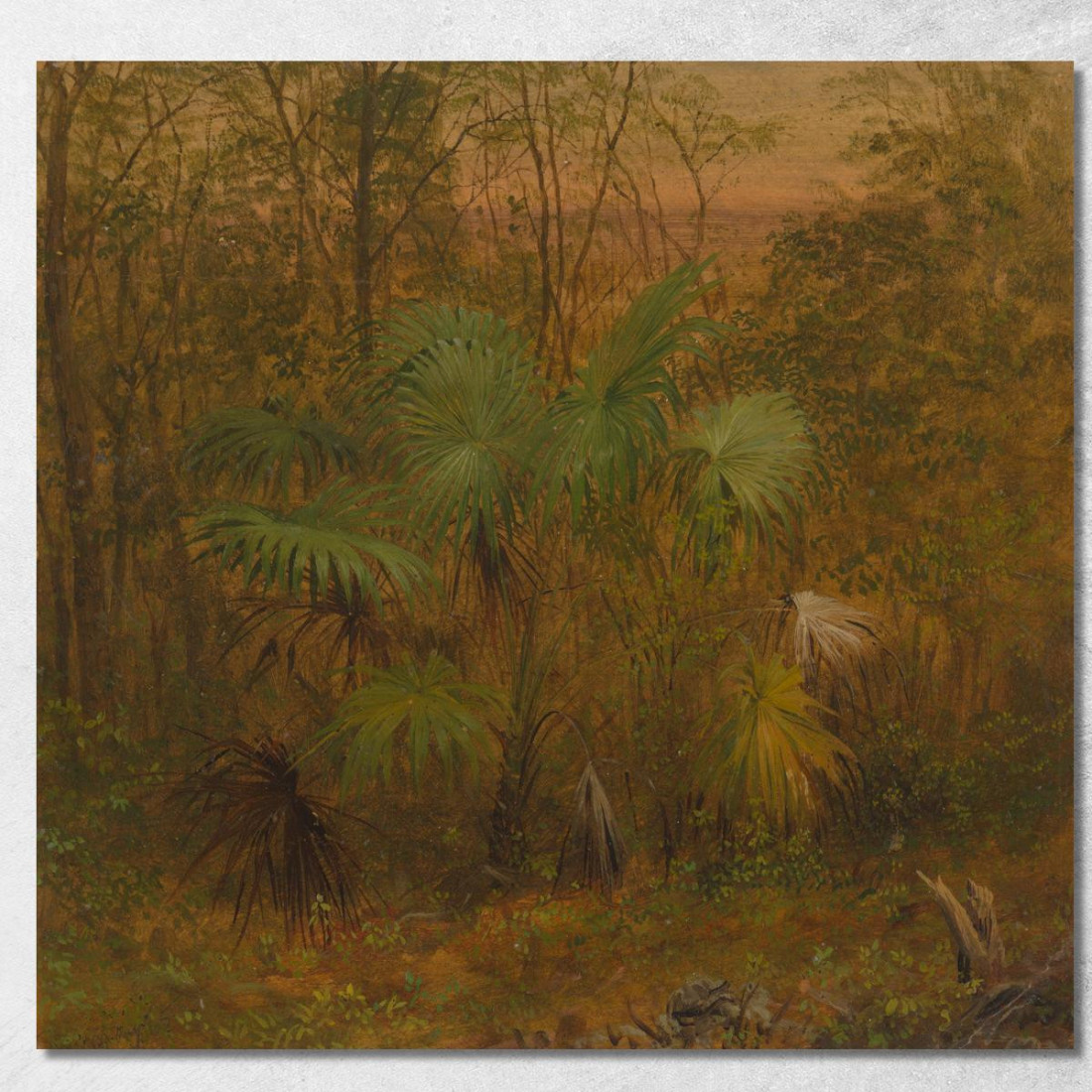 Palma Di Paglia Giamaica Frederic Edwin Church fec99 quadro stampato su tela Palma Di Paglia Giamaica Frederic Edwin Church fec99 quadro stampato su tela