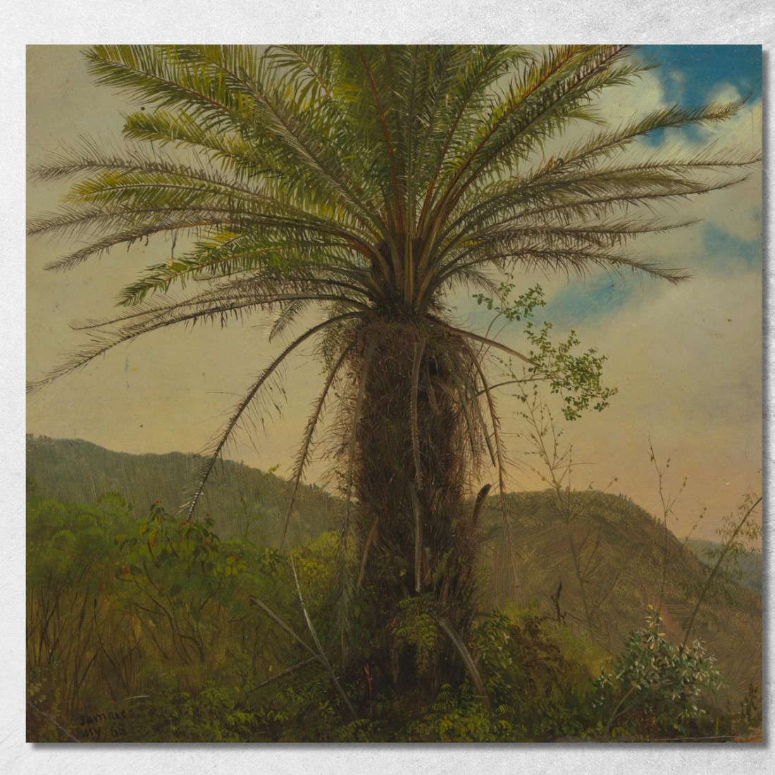 Felce Arborea Giamaica Frederic Edwin Church fec110 quadro stampato su tela Felce Arborea Giamaica Frederic Edwin Church fec110 quadro stampato su tela