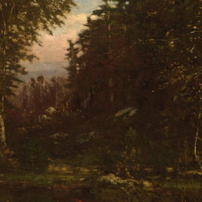 Negli Adirondacks George Inness gin42 quadro stampato su tela