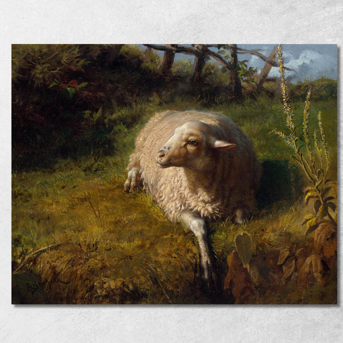 Una Pecora A Riposo Rosa Bonheur rbn4 quadro stampato su tela Una Pecora A Riposo Rosa Bonheur rbn4 quadro stampato su tela
