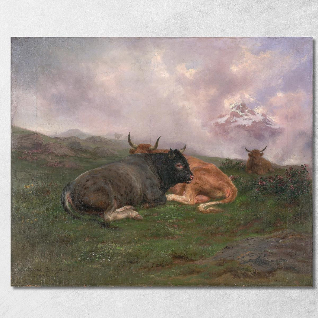 Bovini A Riposo Su Una Collina Nelle Alpi Rosa Bonheur rbn8 quadro stampato su tela Bovini A Riposo Su Una Collina Nelle Alpi Rosa Bonheur rbn8 quadro stampato su tela