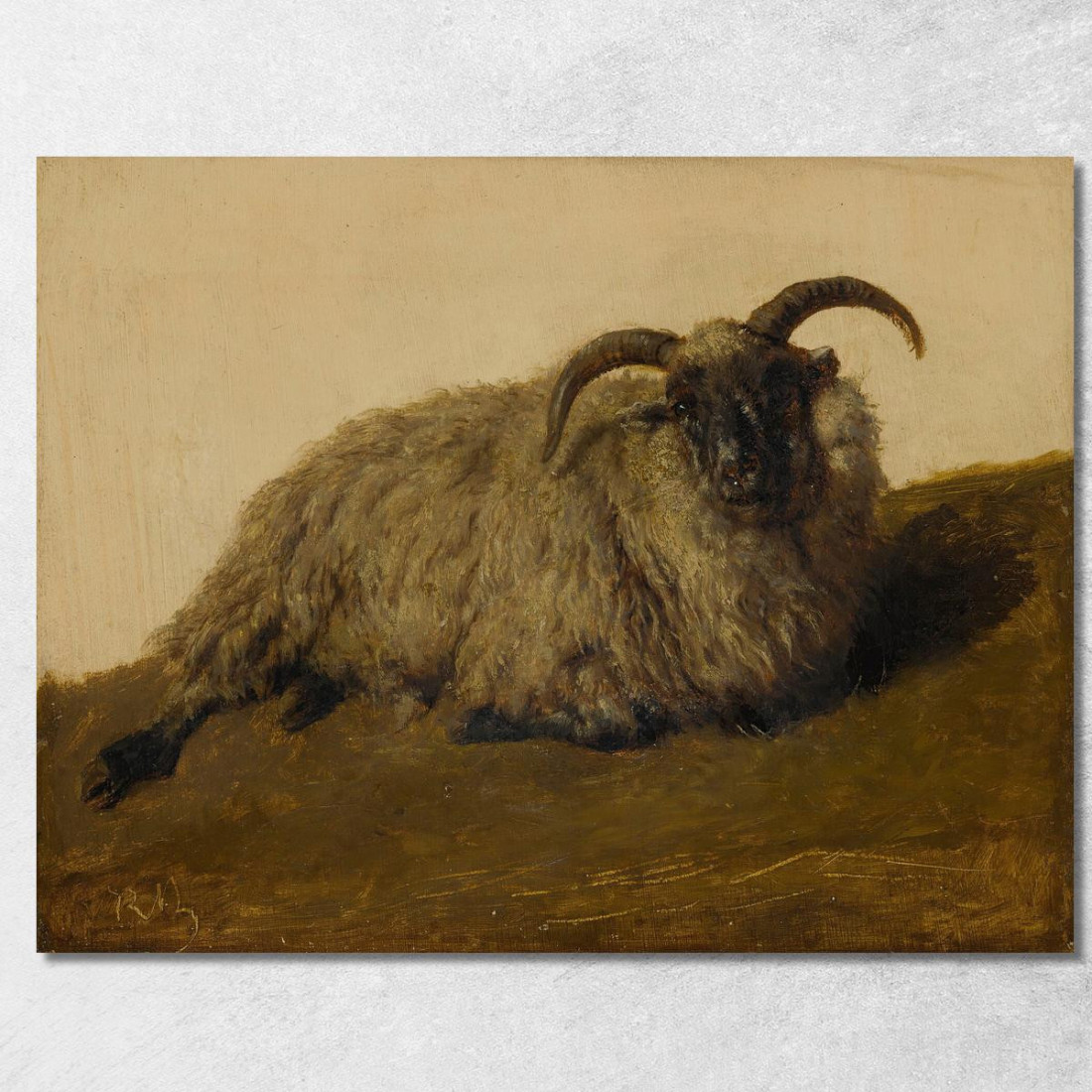 Il Merinos Rosa Bonheur rbn25 quadro stampato su tela Il Merinos Rosa Bonheur rbn25 quadro stampato su tela