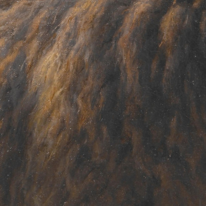 Ariete Rosa Bonheur rbn37 quadro stampato su tela