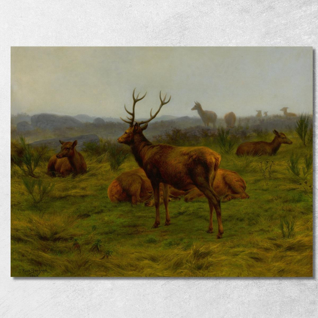 Il Monarca Della Mandria Rosa Bonheur rbn49 quadro stampato su tela Il Monarca Della Mandria Rosa Bonheur rbn49 quadro stampato su tela