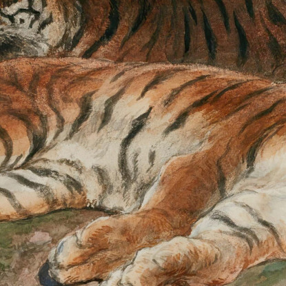 Due Tigri Sdraiate Rosa Bonheur rbn60 quadro stampato su tela