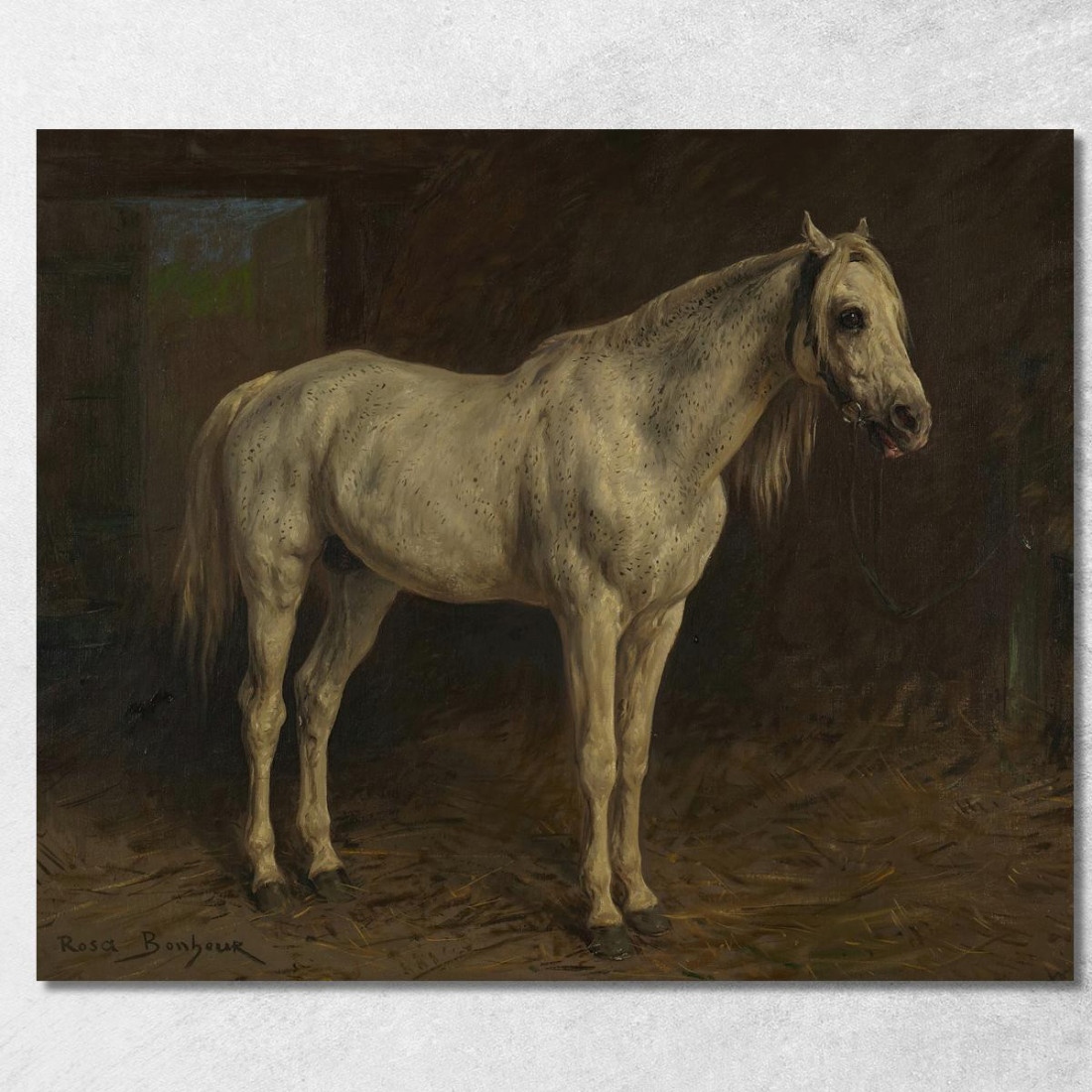 Cavallo Bianco Rosa Bonheur rbn64 quadro stampato su tela Cavallo Bianco Rosa Bonheur rbn64 quadro stampato su tela