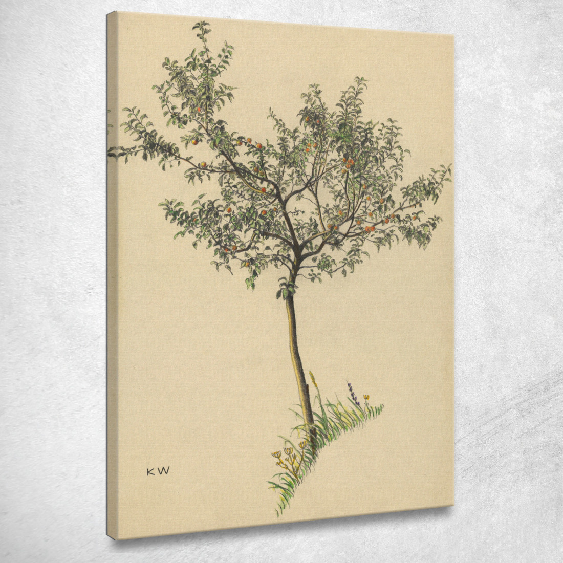 Albero Da Frutto Senza Titolo Karl Wiener kwn575 quadro stampato su tela Albero Da Frutto Senza Titolo Karl Wiener kwn575 quadro stampato su tela