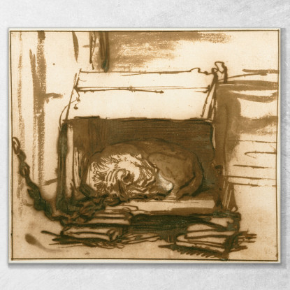 Cane Da Guardia Dormiente Rembrandt van Rijn rvr189 quadro stampato su tela