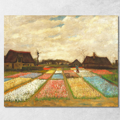 Campi Di Bulbi Vincent van Gogh vvg5 quadro stampato su tela