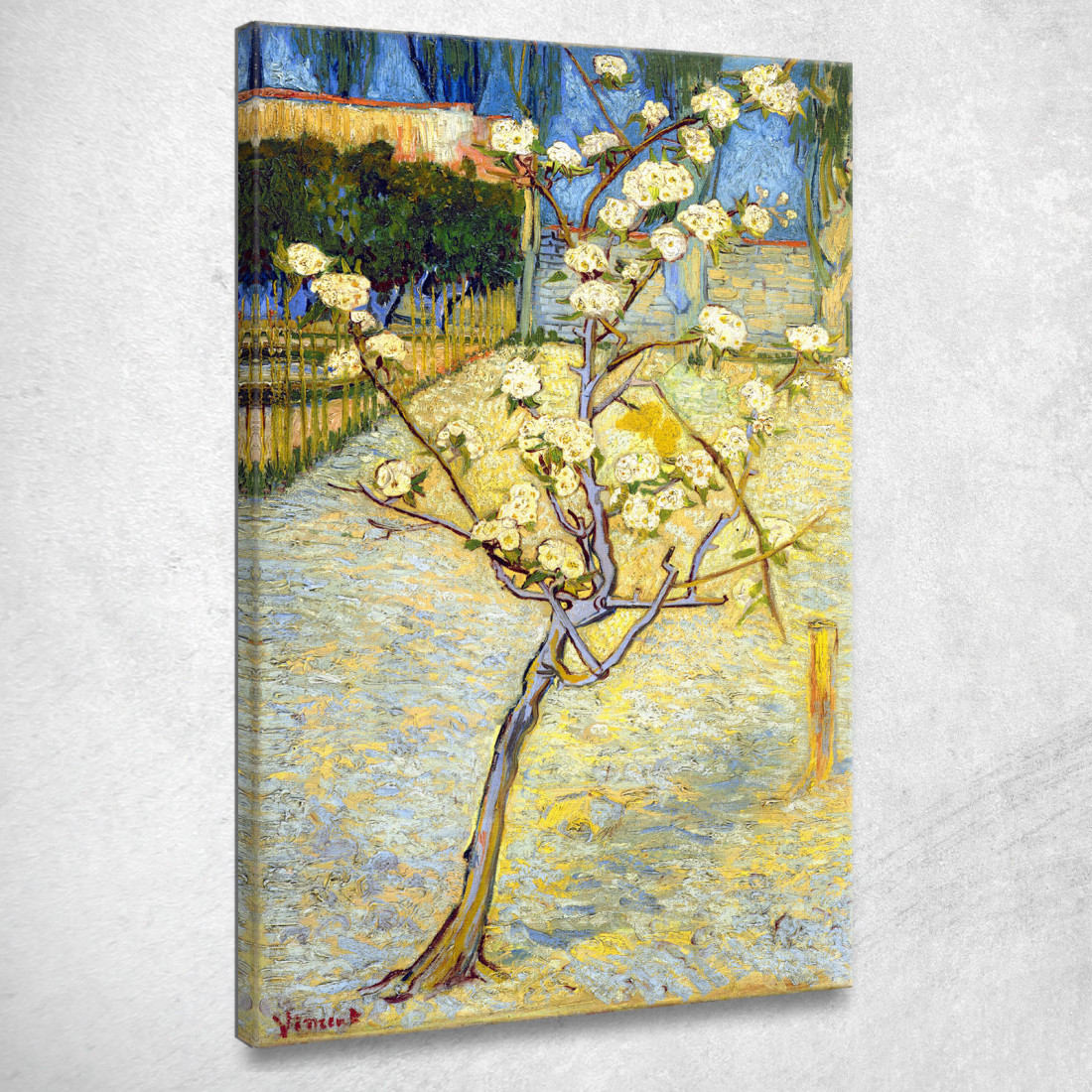 Piccolo Pero In Fiore Vincent van Gogh vvg8 quadro stampato su tela Piccolo Pero In Fiore Vincent van Gogh vvg8 quadro stampato su tela