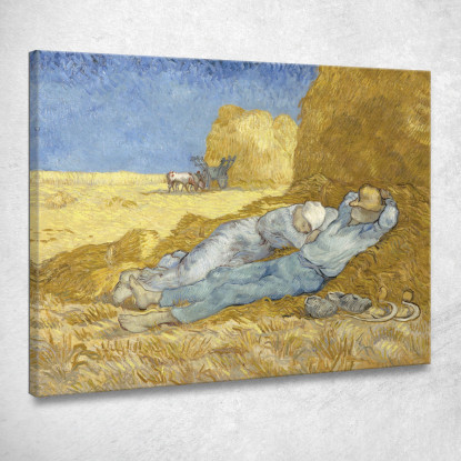 Il Nap Vincent van Gogh vvg44 quadro stampato su tela