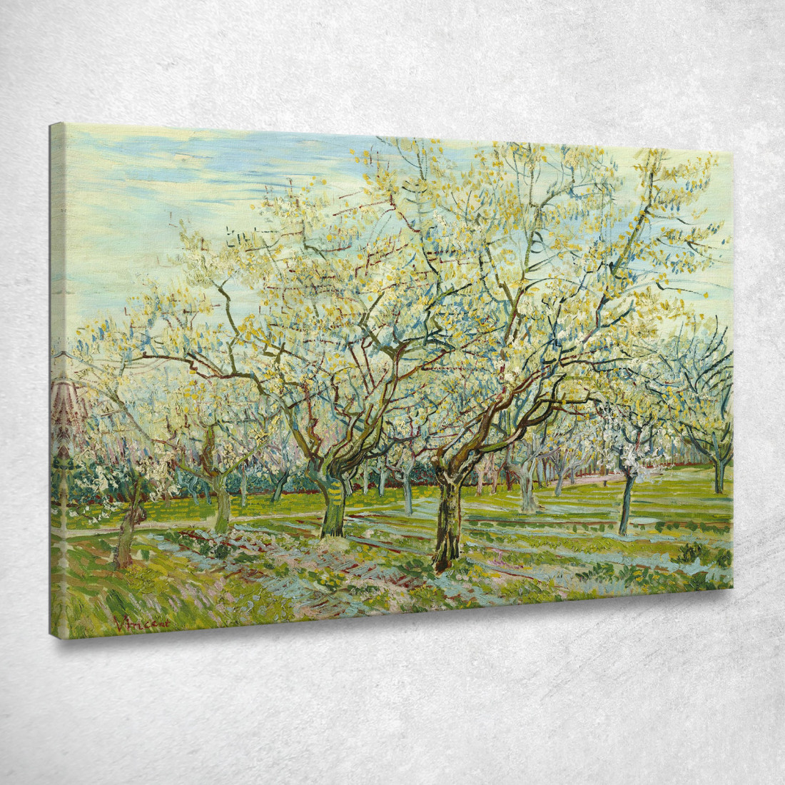 Il Frutteto Bianco Vincent van Gogh vvg52 quadro stampato su tela