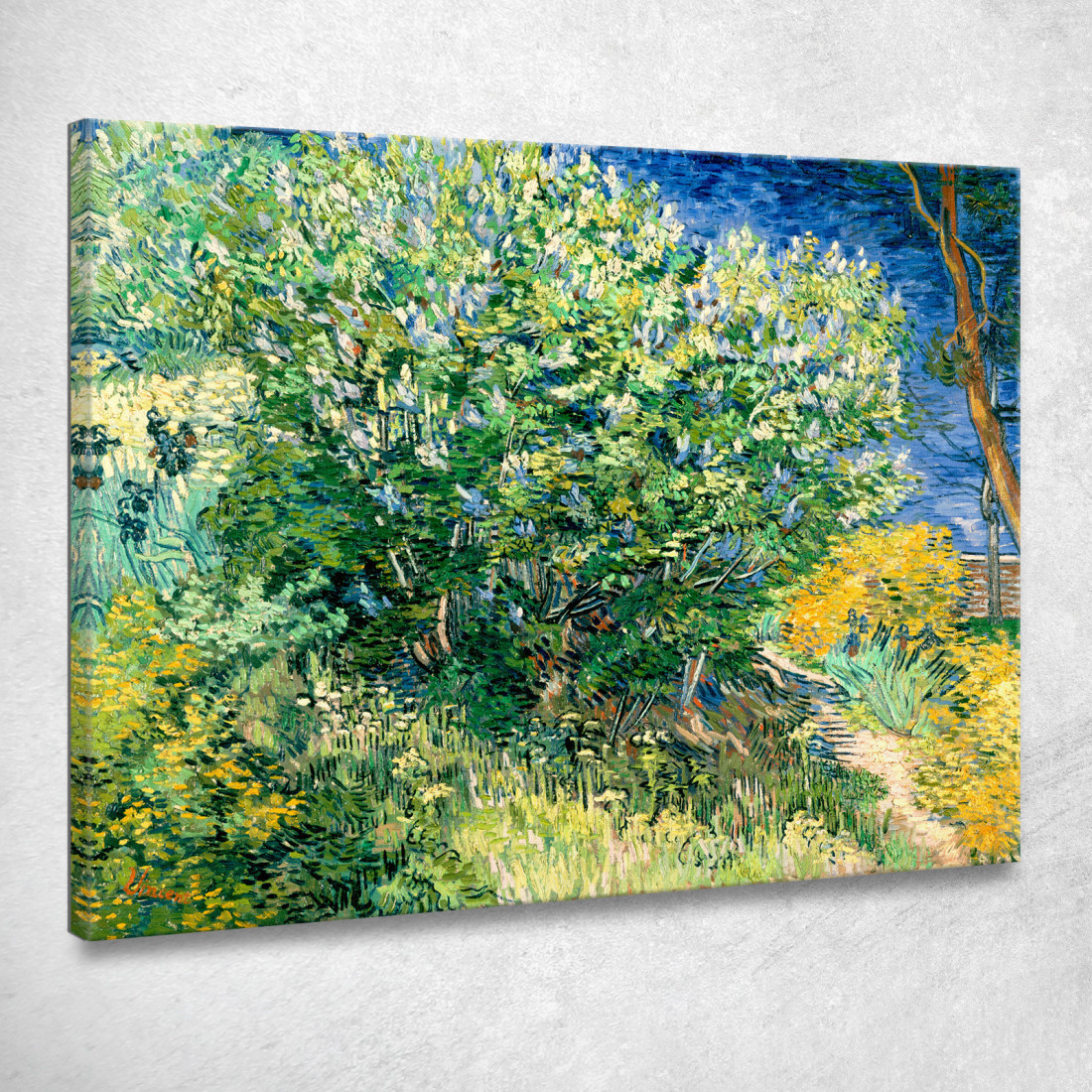 Cespuglio Di Lillà Vincent van Gogh vvg63 quadro stampato su tela Cespuglio Di Lillà Vincent van Gogh vvg63 quadro stampato su tela
