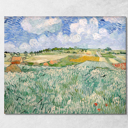 Pianura Vicino Ad Auvers Vincent van Gogh vvg71 quadro stampato su tela