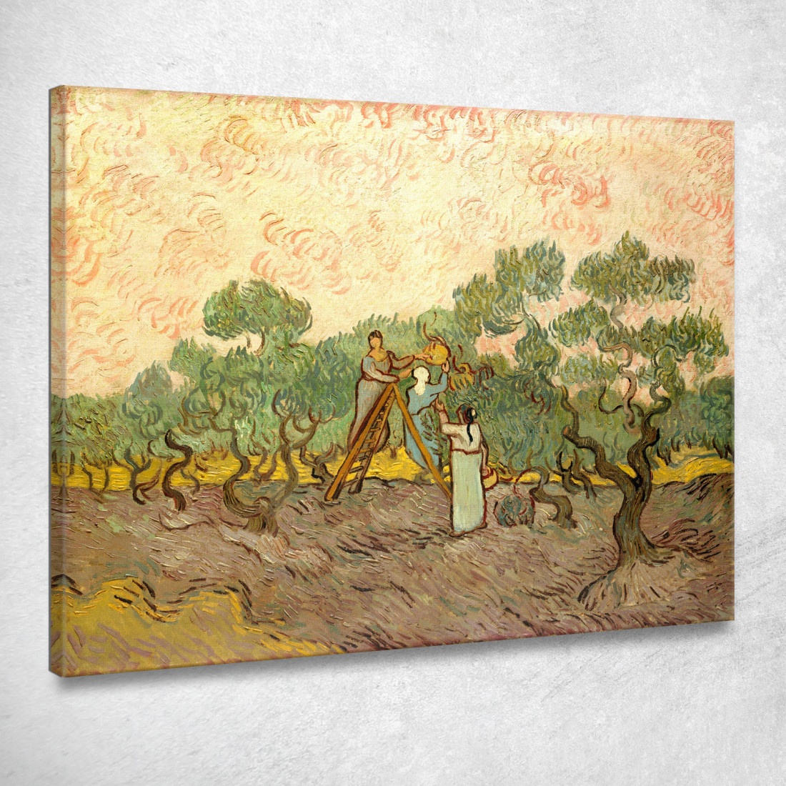 Donne Che Raccolgono Le Olive Vincent van Gogh vvg82 quadro stampato su tela Donne Che Raccolgono Le Olive Vincent van Gogh vvg82 quadro stampato su tela