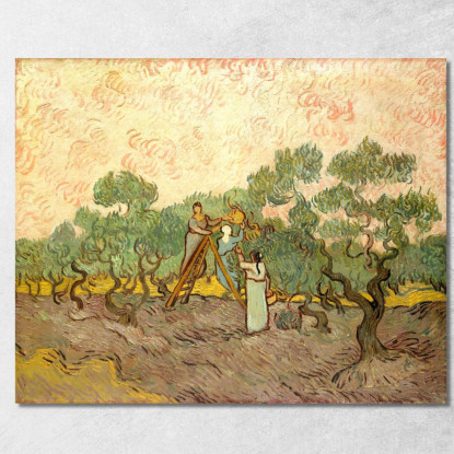 Donne Che Raccolgono Le Olive Vincent van Gogh vvg82 quadro stampato su tela