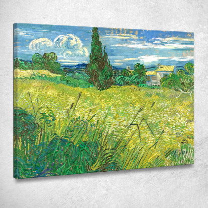 Campo Di Grano Verde Con Cipresso Vincent van Gogh vvg95 quadro stampato su tela