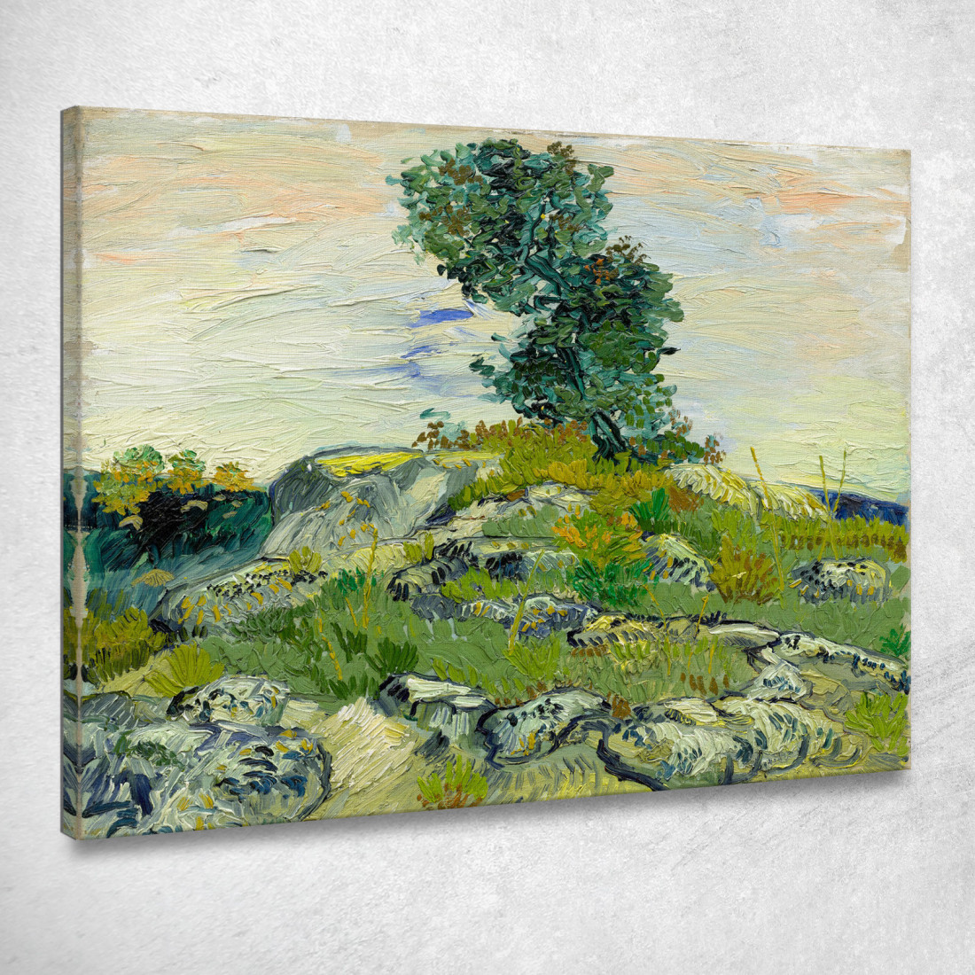 Le Rocce Vincent van Gogh vvg99 quadro stampato su tela