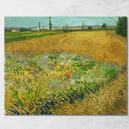 Campo Di Grano Con Le Alpilles Prealpi Sullo Sfondo Vincent van Gogh vvg104 quadro stampato su tela